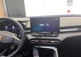 A vendre CUPRA TERRAMAR V 2025 occasion photo 7