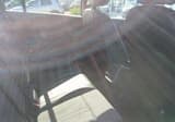 A vendre VOLKSWAGEN T-ROC Style occasion photo 18